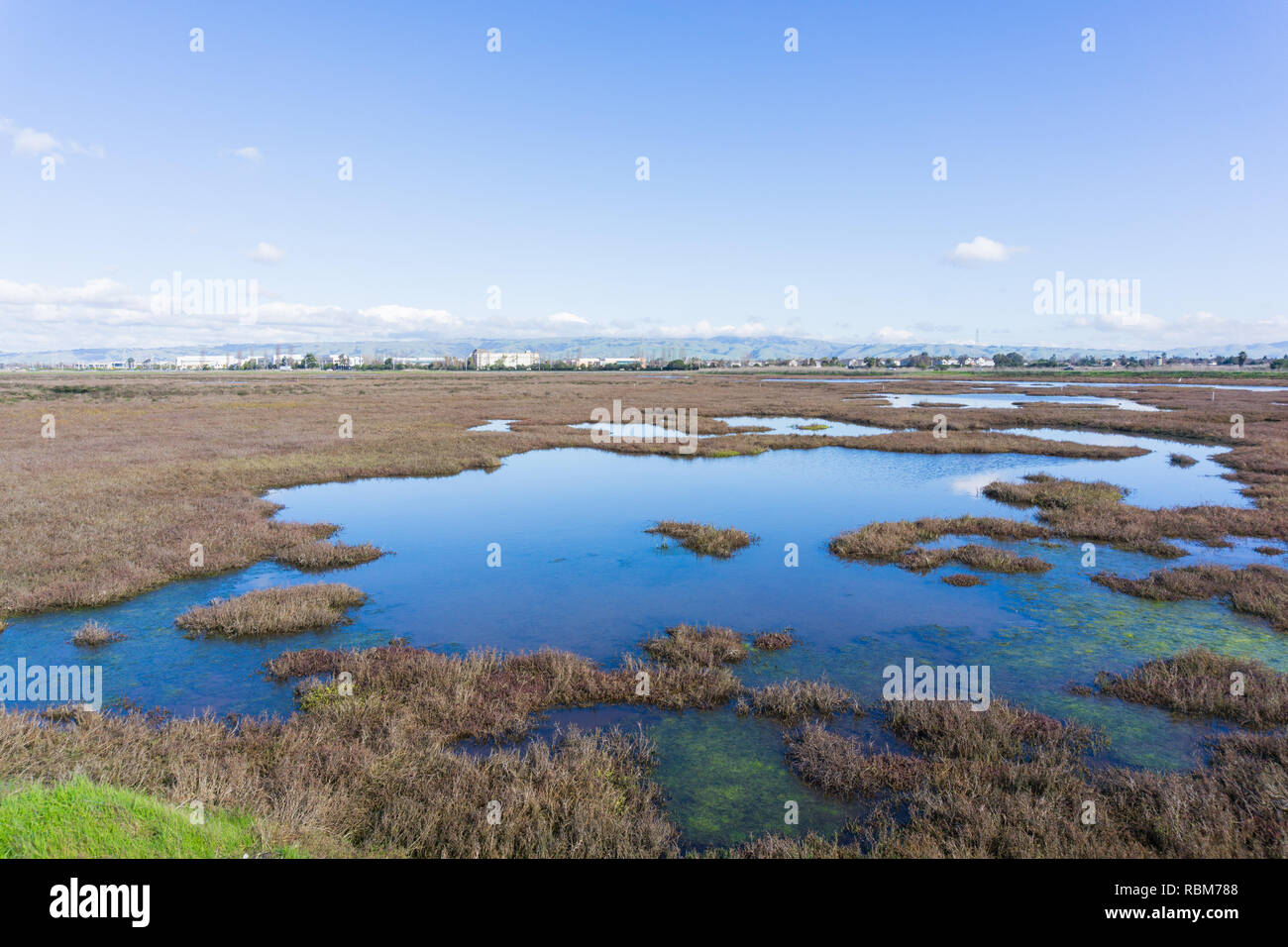 Baylands in Don Edwards Wildlife Refuge, Fremont, San Francisco Bay Area, Kalifornien Stockfoto