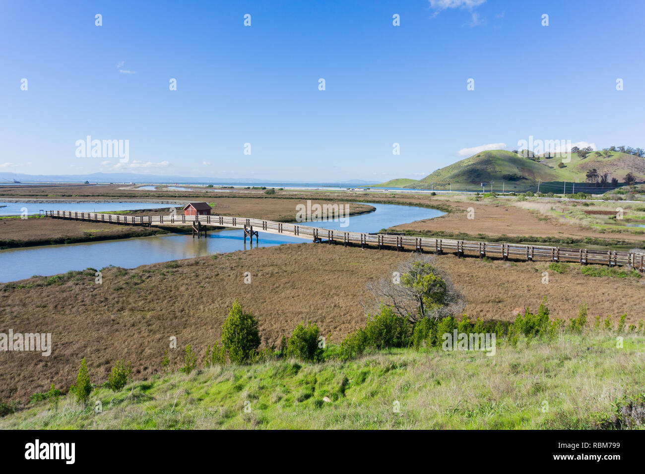 Holzsteg, Don Edwards Wildlife Refuge, Fremont, San Francisco Bay Area, Kalifornien Stockfoto