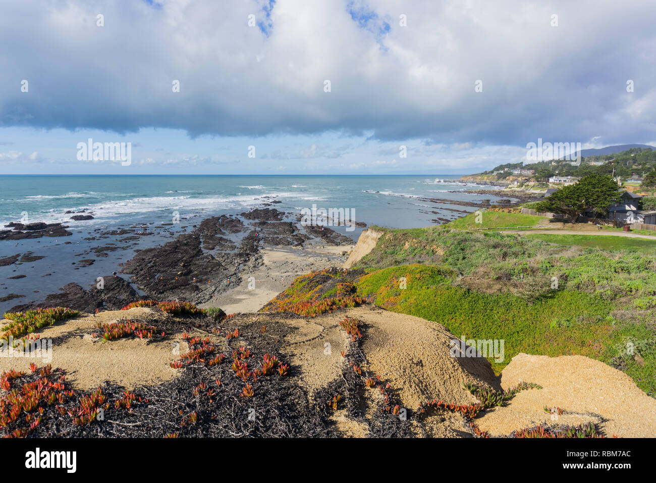 Blick Richtung Fitzgerald Marine Reserve bei Ebbe aus dem Pfad auf die Täuschungen, Moss Beach, Kalifornien Stockfoto