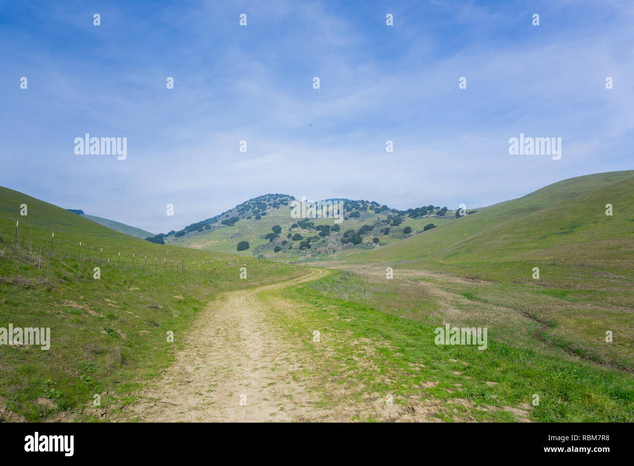 Trail in Brushy Peak Regional Park, östlich der Bucht von San Francisco, Livermore, Kalifornien Stockfoto