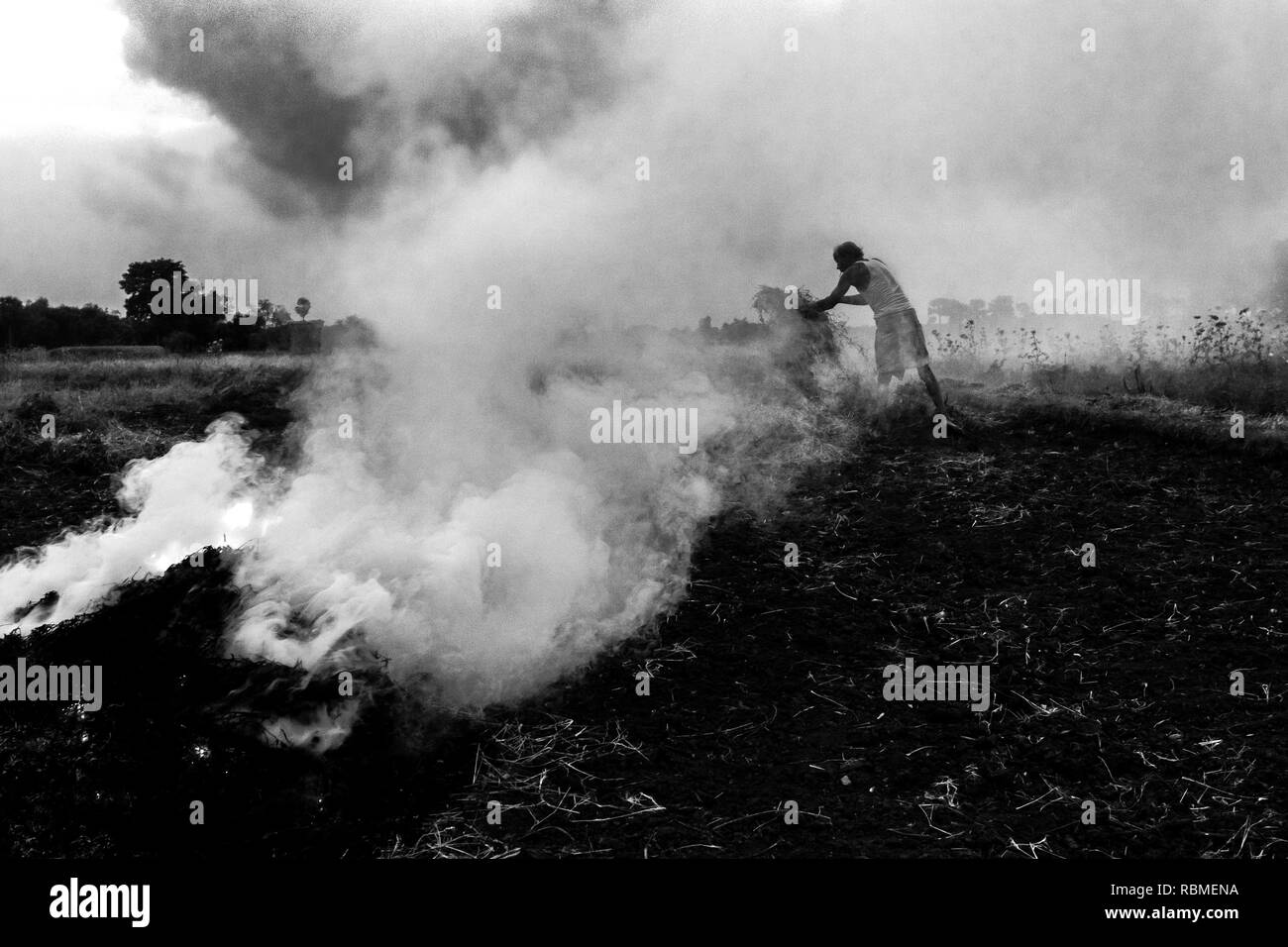 Landwirt brennen Abfälle in Feld, Rajarhat, West Bengal, Indien, Asien Stockfoto