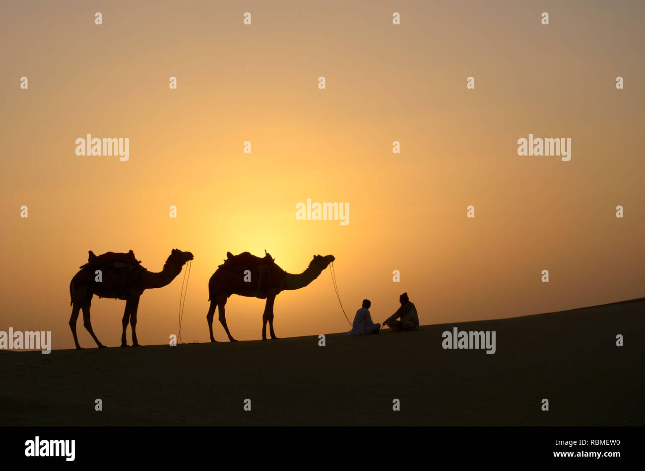 Kamele und Tierpfleger, Sam Sand Dunes, Jaisalmer, Rajasthan, Indien, Asien Stockfoto