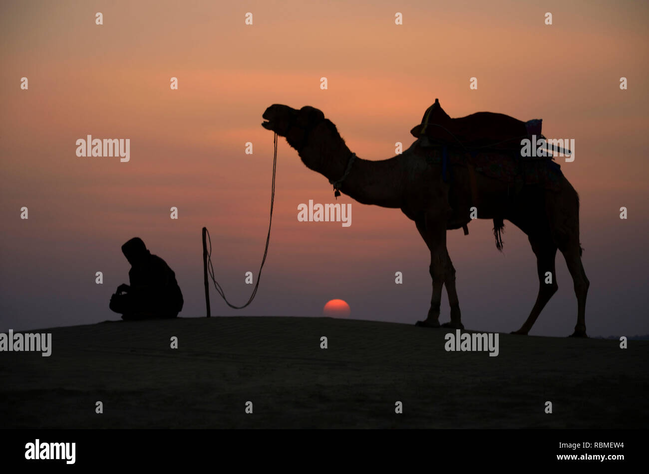 Kamel und Keeper in der Wüste Thar, Jaisalmer, Rajasthan, Indien, Asien Stockfoto