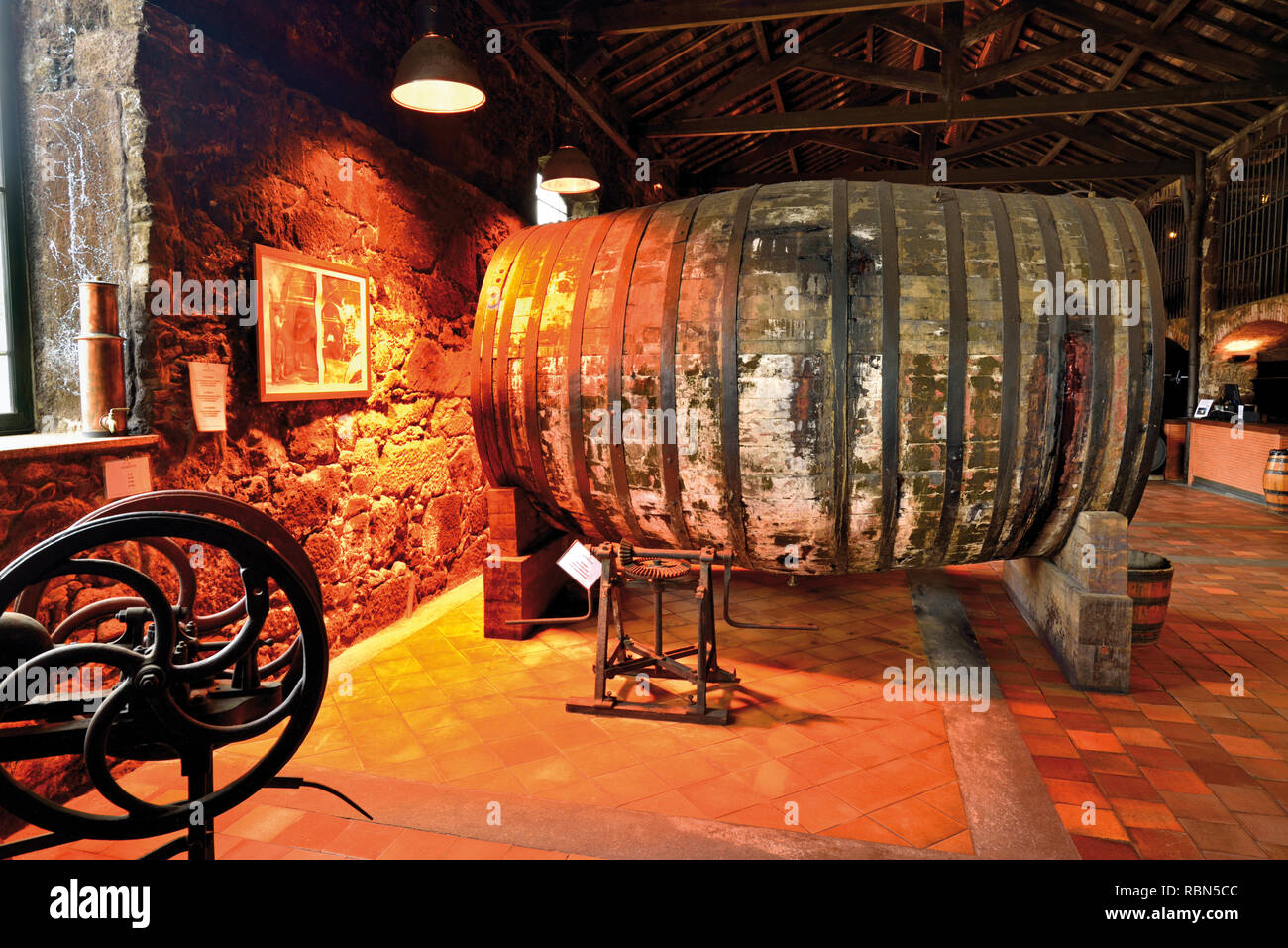 Großes Holzfass im Weinkeller Burmester Stockfoto