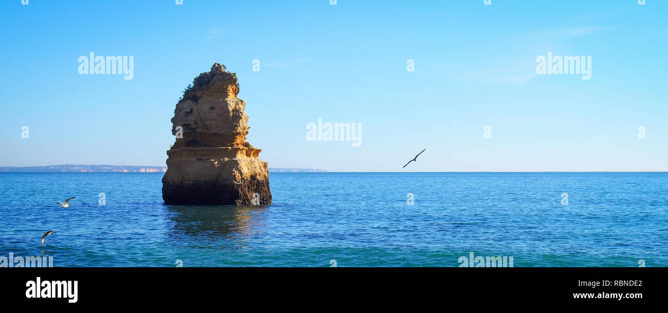 Marine mit einem einsamen Felsen und Möwen in Lagos, Algarve, Portugal Stockfoto