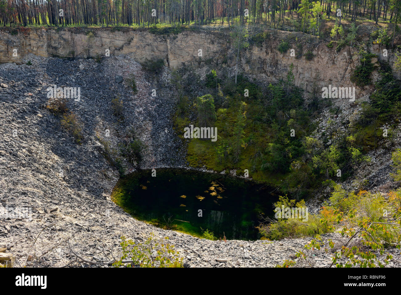 Waschbecken - Loch in eine Karstlandschaft, Wood Buffalo National Park, Northwest Territories, Kanada Stockfoto