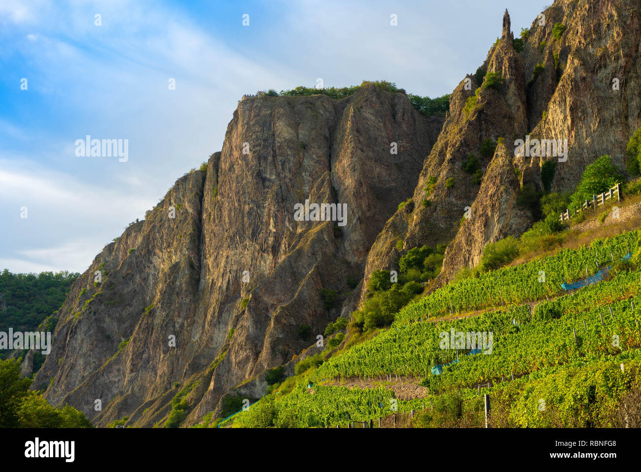 Weinberge auf den Rotenfels Bergmassiv Bad Münster am Stein-Ebernburg in der Nähe von Bad Kreuznach, Rheinland-Pfalz, Deutschland Stockfoto