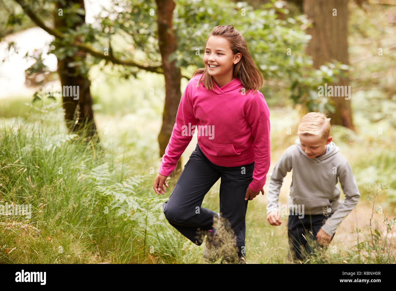 Zwei Kinder gehen durch einen Wald im Grünen, Vorderansicht Stockfoto