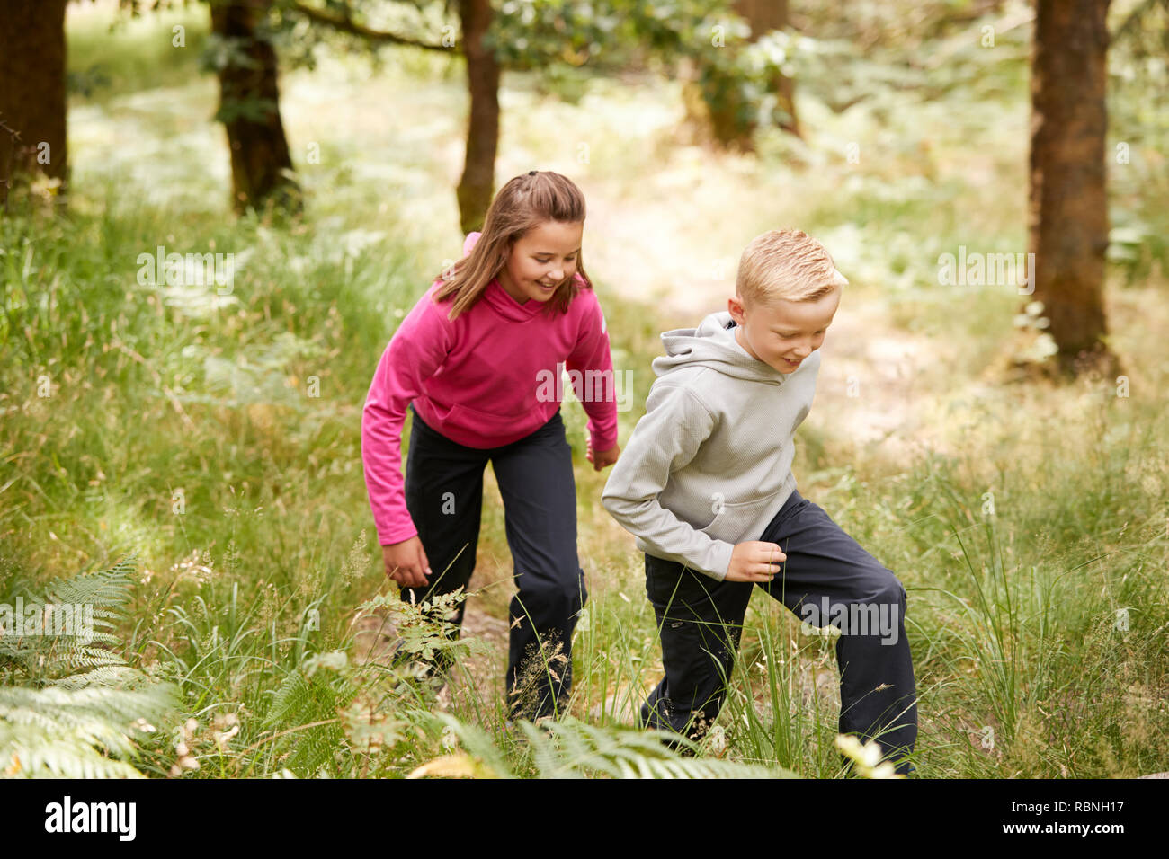 Zwei Kinder gemeinsam zu Fuß in einem Wald im Grünen, drei Viertel Länge, Seitenansicht Stockfoto