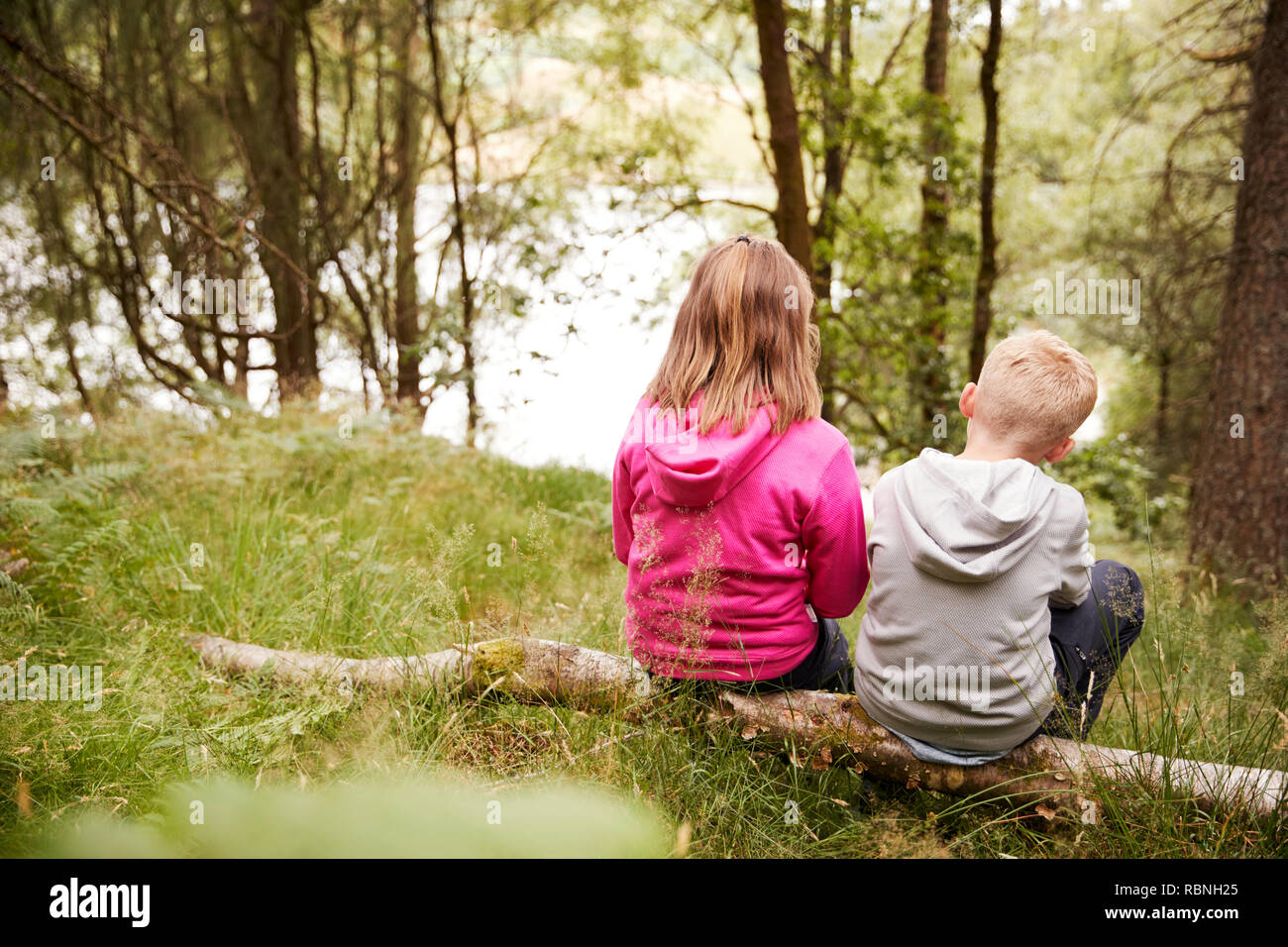 Mädchen und Jungen sitzen zusammen auf einen umgestürzten Baum in einem Wald, Rückansicht Stockfoto