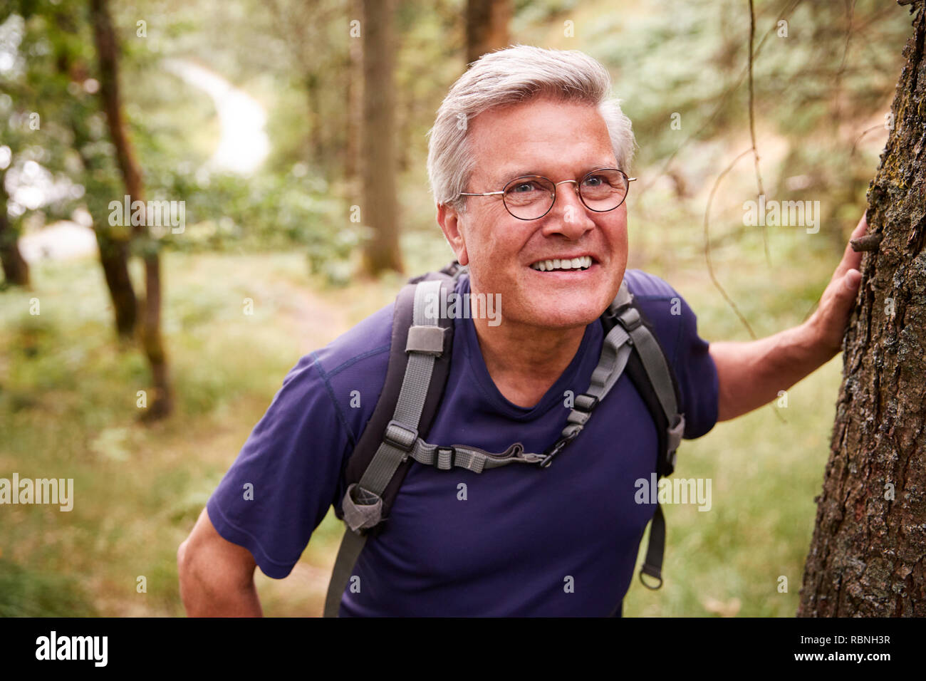 Im mittleren Alter kaukasischer Mann eine Pause während einer Wanderung, lehnte sich an einem Baum in einem Wald, an der Hüfte oben, oben schließen Stockfoto