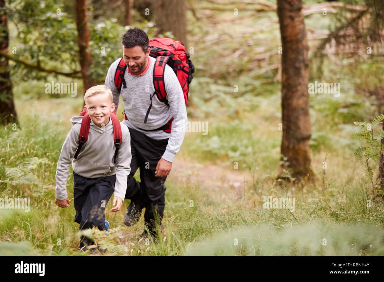 Ein Junge und sein Vater gemeinsam zu Fuß auf einem Weg zwischen Bäumen in einem Wald, Erhöhte Ansicht Stockfoto