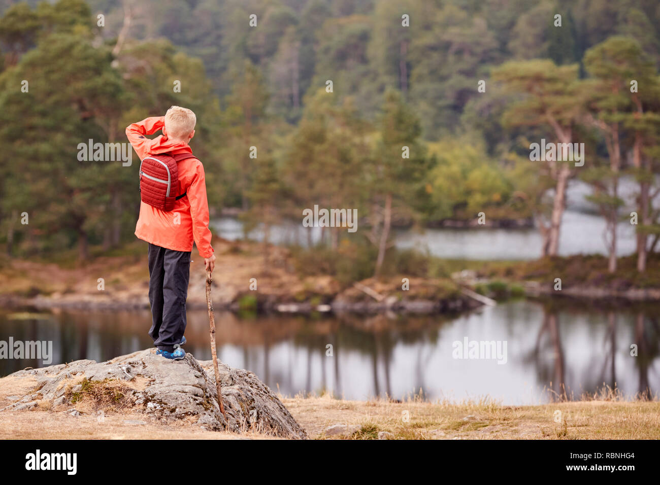 Ein Junge steht auf einem Felsen mit einem Stick bewundern, die einen Ausblick auf den See, Blick nach hinten, Lake District, Großbritannien Stockfoto