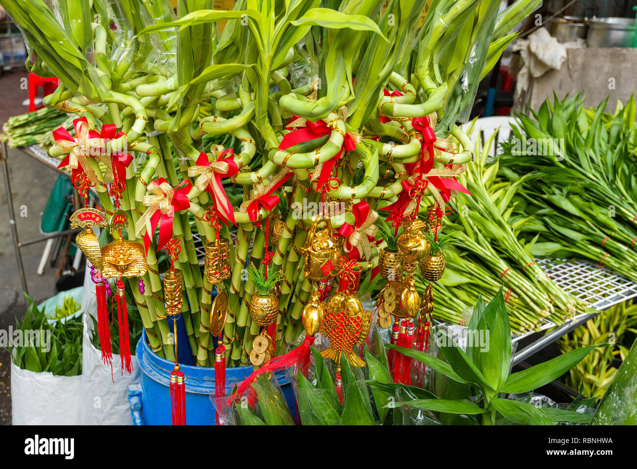 Lucky Bamboo nach chinesischer Tradition, gibt das Glück auf die Person, die es empfängt, Chinatown, Bangkok Stockfoto