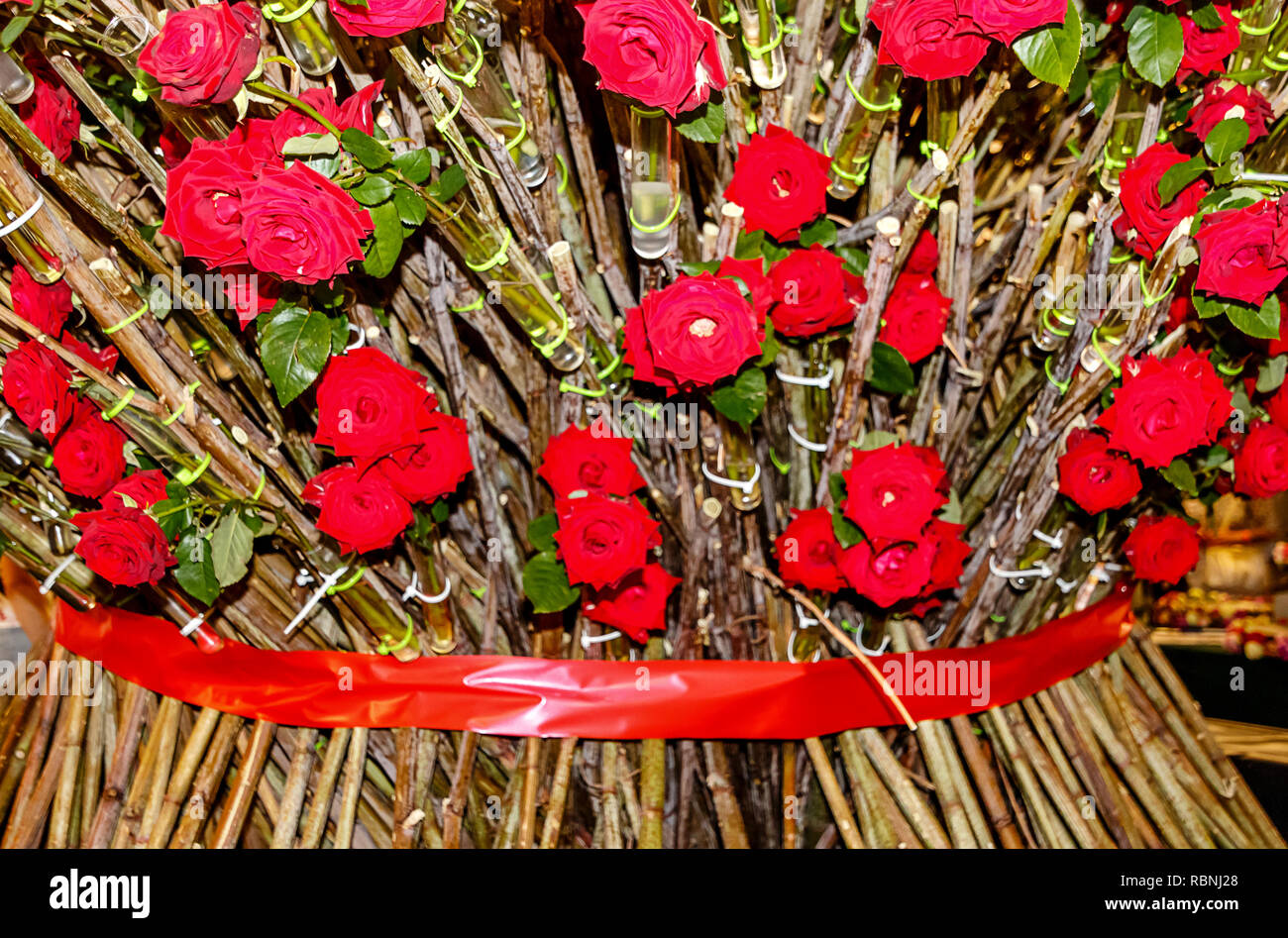 Riesige Rote Rosen Stockfotos und -bilder Kaufen - Alamy