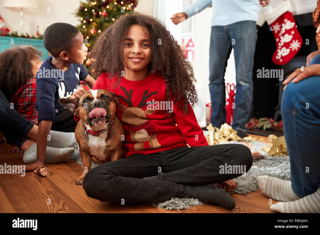 Portrait von Mädchen mit Pet-Französische Bulldogge feiert Weihnachten mit der Familie zu Hause zusammen Stockfoto