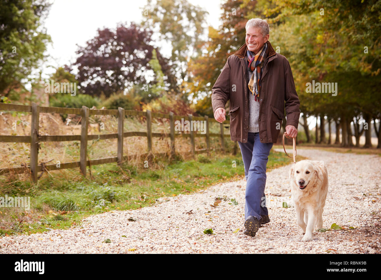 Active Senior Mann auf Herbst Spaziergang mit Hund auf dem Weg durch die Landschaft Stockfoto