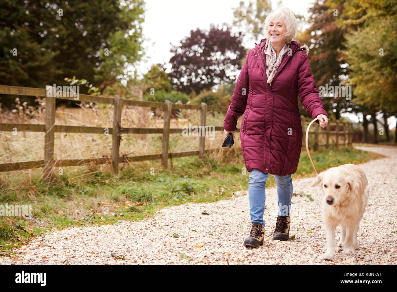 Active Senior Frau auf Herbst Spaziergang mit Hund auf dem Weg durch die Landschaft Stockfoto