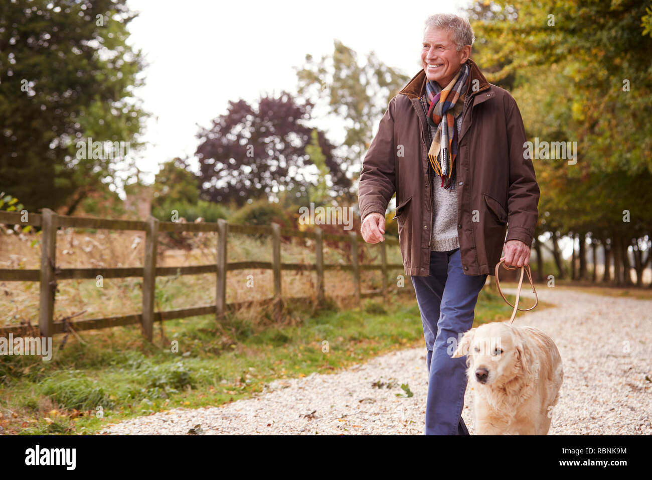 Active Senior Mann auf Herbst Spaziergang mit Hund auf dem Weg durch die Landschaft Stockfoto