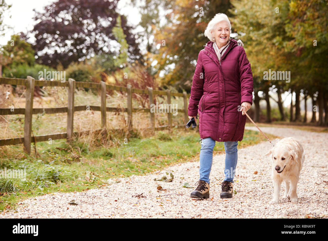 Active Senior Frau auf Herbst Spaziergang mit Hund auf dem Weg durch die Landschaft Stockfoto