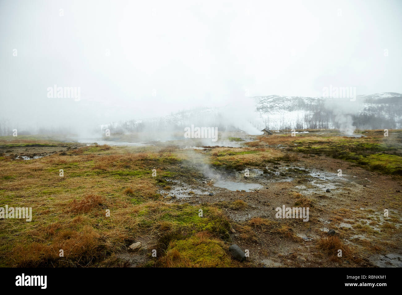 Dampf stieg von geothermischen Pools in der isländischen Landschaft Stockfoto