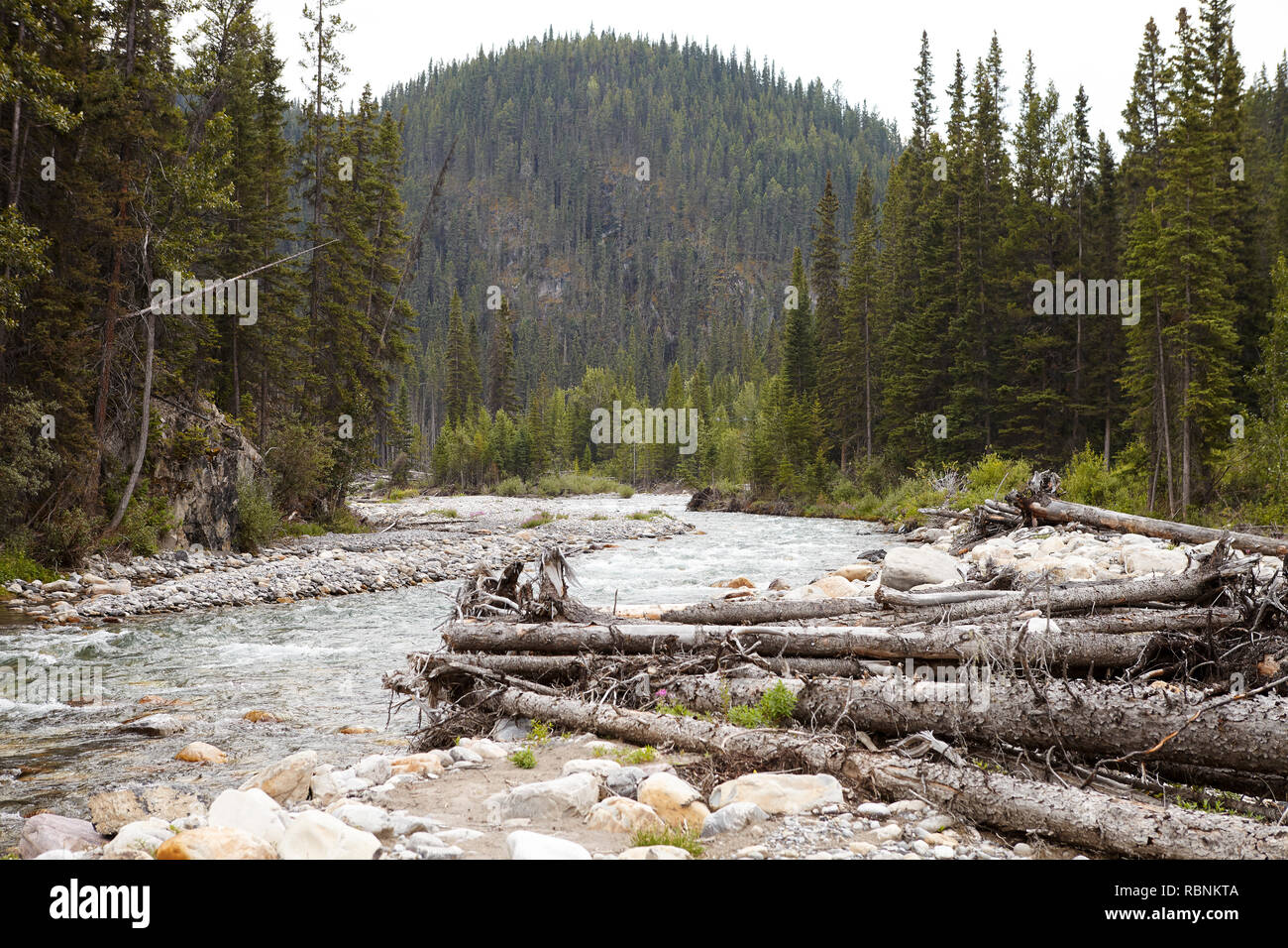 Fluss, der durch bewaldete Tal zwischen Bergen in Alaska mit umgestürzten Bäumen Stockfoto