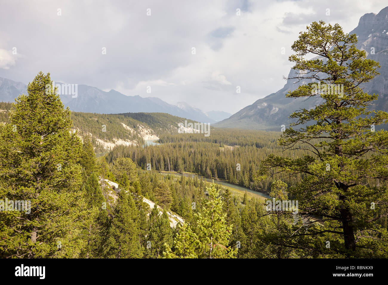 Blick über den Fluss in bewaldeten Tal zwischen Bergen in Alaska Stockfoto