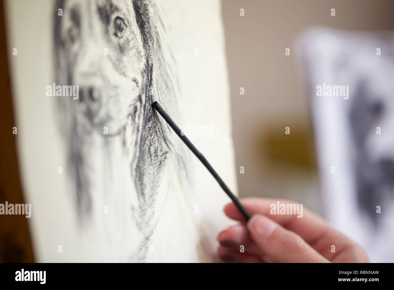 Nahaufnahme von Artist Sitzen an Staffelei Zeichnung Bild des Hundes in der Holzkohle Stockfoto