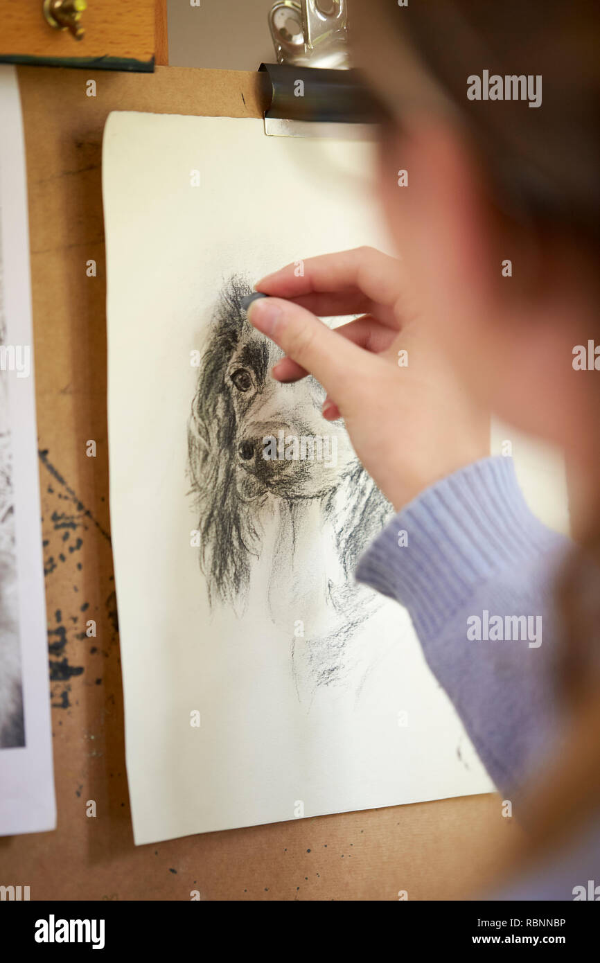 Ansicht der Rückseite des weiblichen Teenager Künstler sitzen an Staffelei Zeichnung Bild des Hundes in der Holzkohle Stockfoto