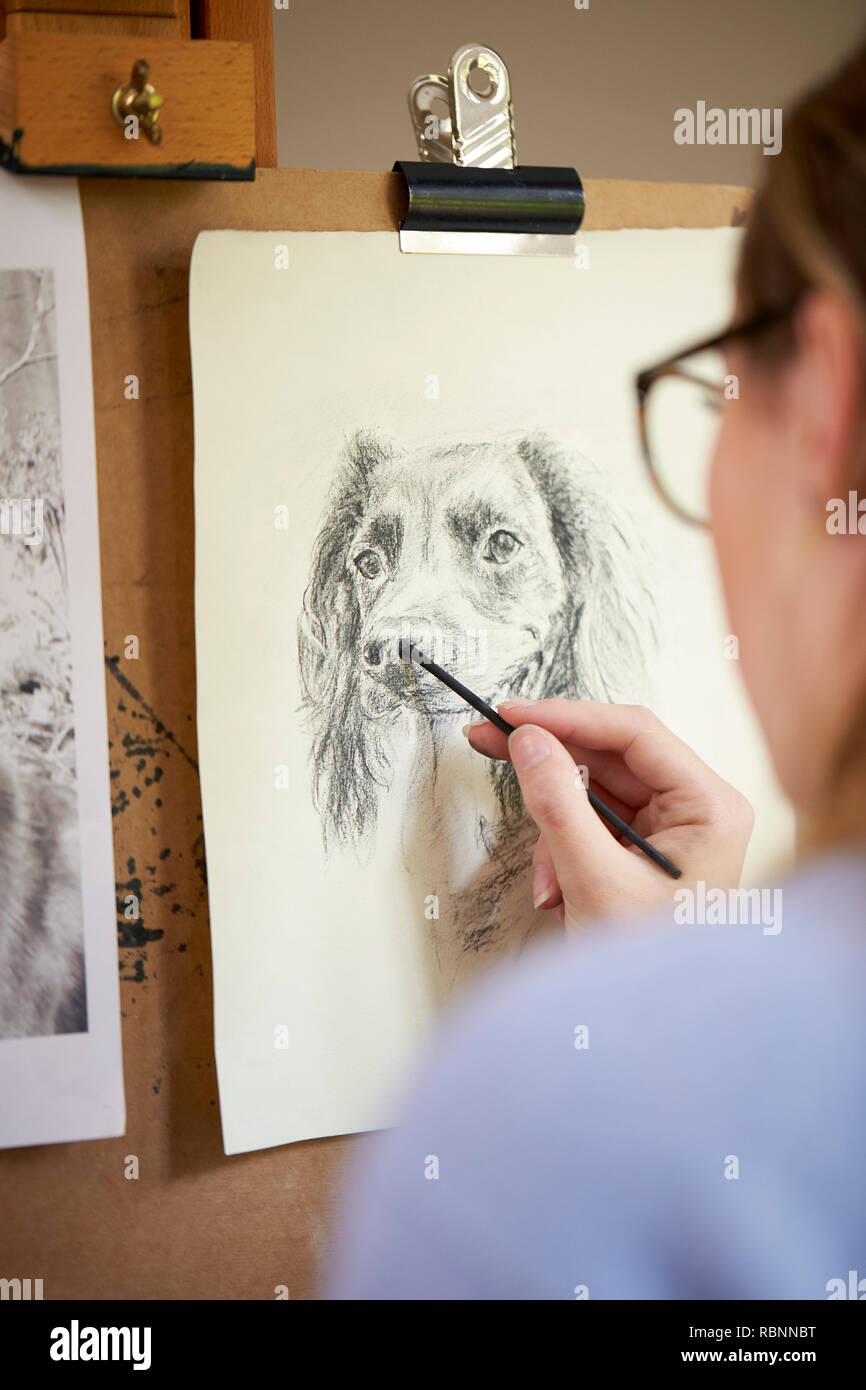 Ansicht der Rückseite des weiblichen Teenager Künstler sitzen an Staffelei Zeichnung Bild des Hundes in der Holzkohle Stockfoto