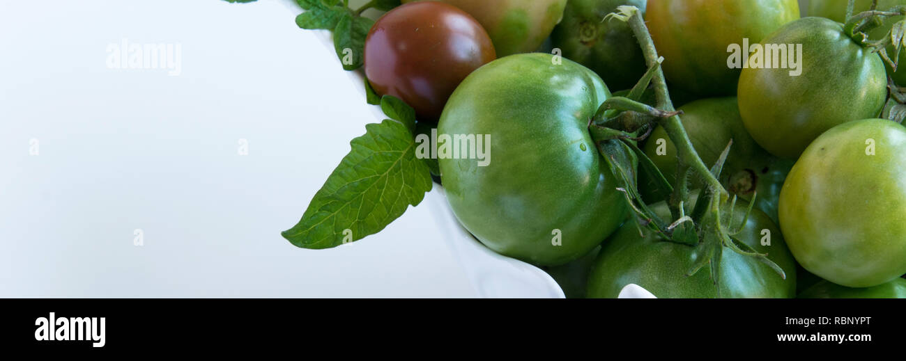 Frische reife grünen Garten Tomaten aus weisser Keramik Schüssel, weisser Hintergrund und Platz für Text Stockfoto