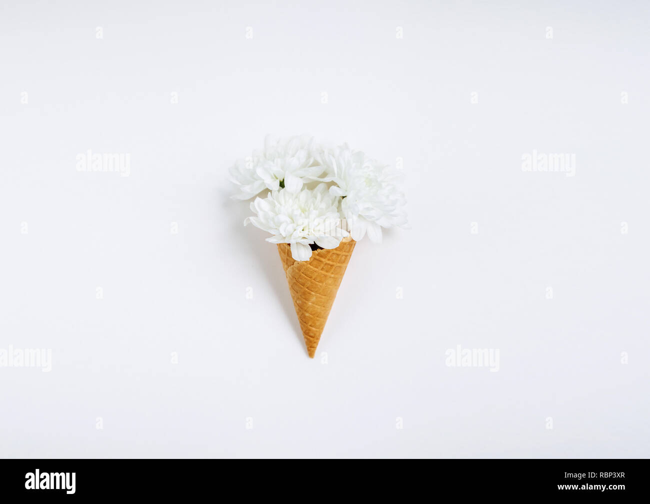 Schöne einzigartige Blume in Eis auf weißem Hintergrund. Blumenschmuck, Flachbild Styling legen. Ansicht von oben. Kreative still life Idee der Feder wallpap Stockfoto