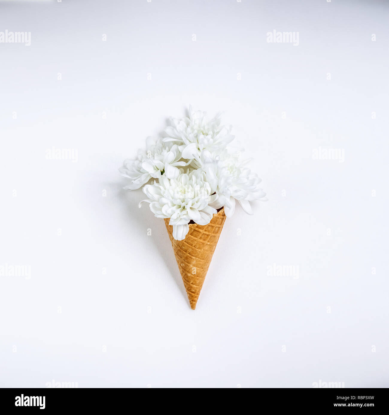 Schöne einzigartige Blume in Eis auf weißem Hintergrund. Blumenschmuck, Flachbild Styling legen. Ansicht von oben. Kreative still life Idee der Feder wallpap Stockfoto