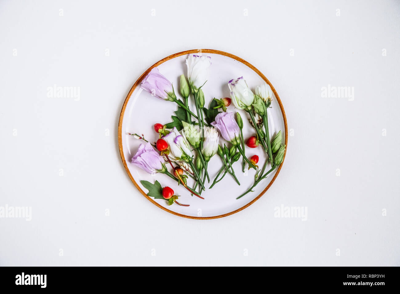 Schöne einzigartige Blume im Kreis Clay Platte auf weißem Hintergrund. Blumenschmuck, Flachbild Styling legen. Ansicht von oben. Kreative still life Idee der Feder wa Stockfoto