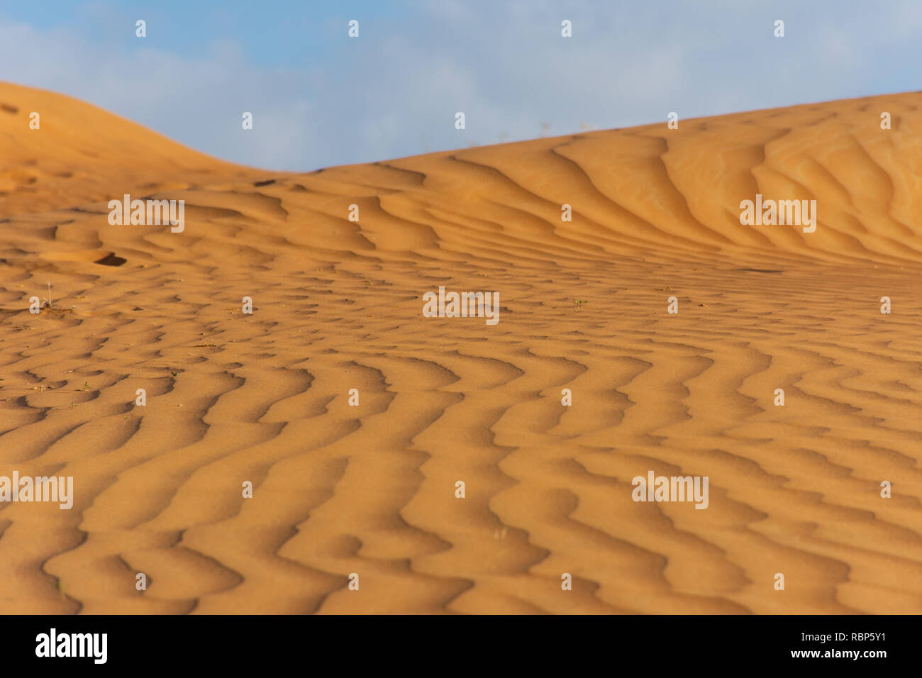 Plätschernde Sanddünen Hintergrund im schönsten Sonnenschein. Stockfoto