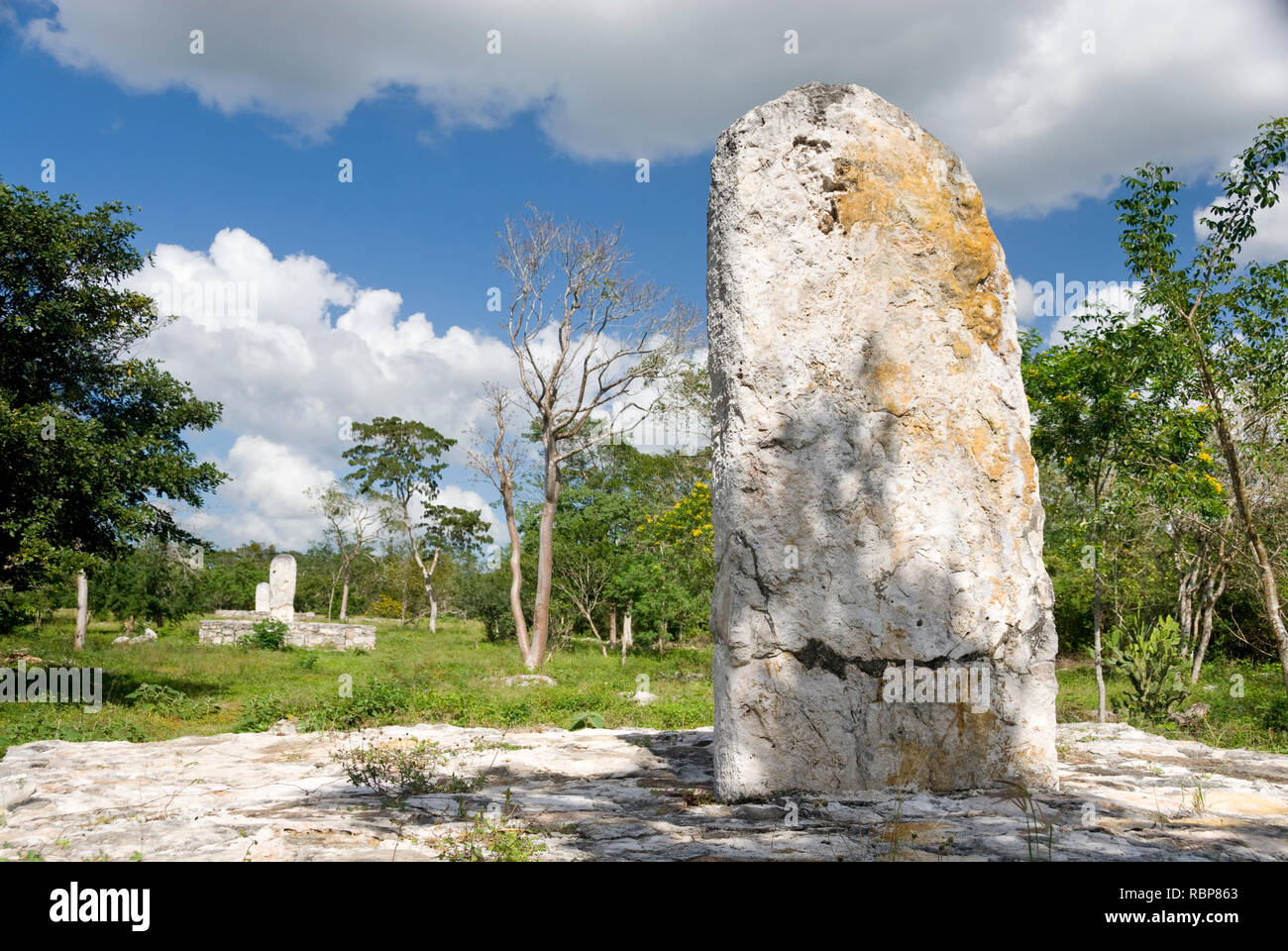 Mexiko - Jan 16 2007: Stele stehend oder Marker Stein auf SACBE 1 Main Route durch die Maya archäologische Komplex Dzibilchaltún, in der Nähe von Merida Stockfoto