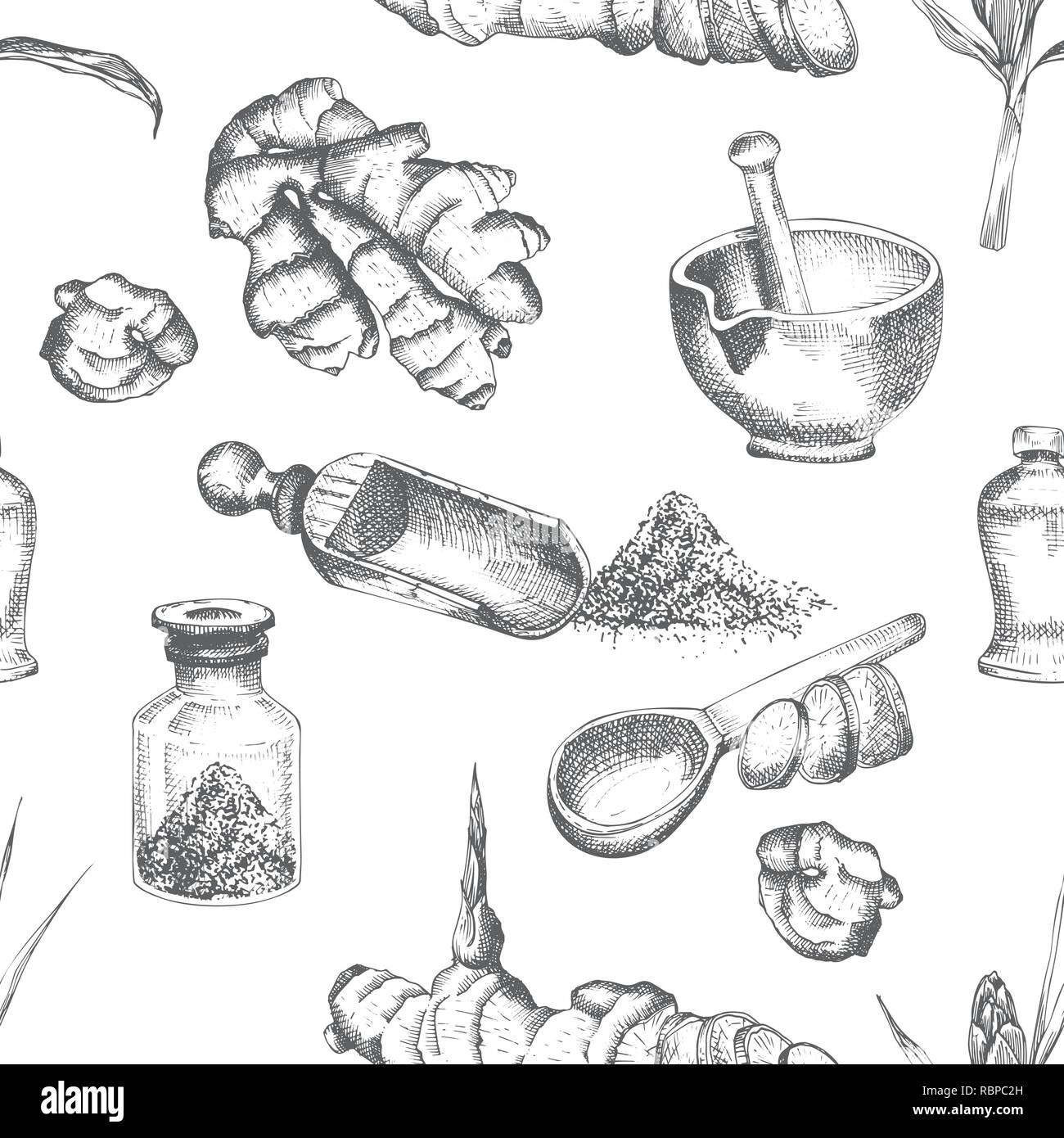 Nahtlose Muster Hand gezeichnet von Ingwer Wurzeln, lebt und Blumen in schwarzer Farbe auf weißem Hintergrund. Retro Vintage grafik design Botanische Zeichnung, Gravur Stil Stock Vektor