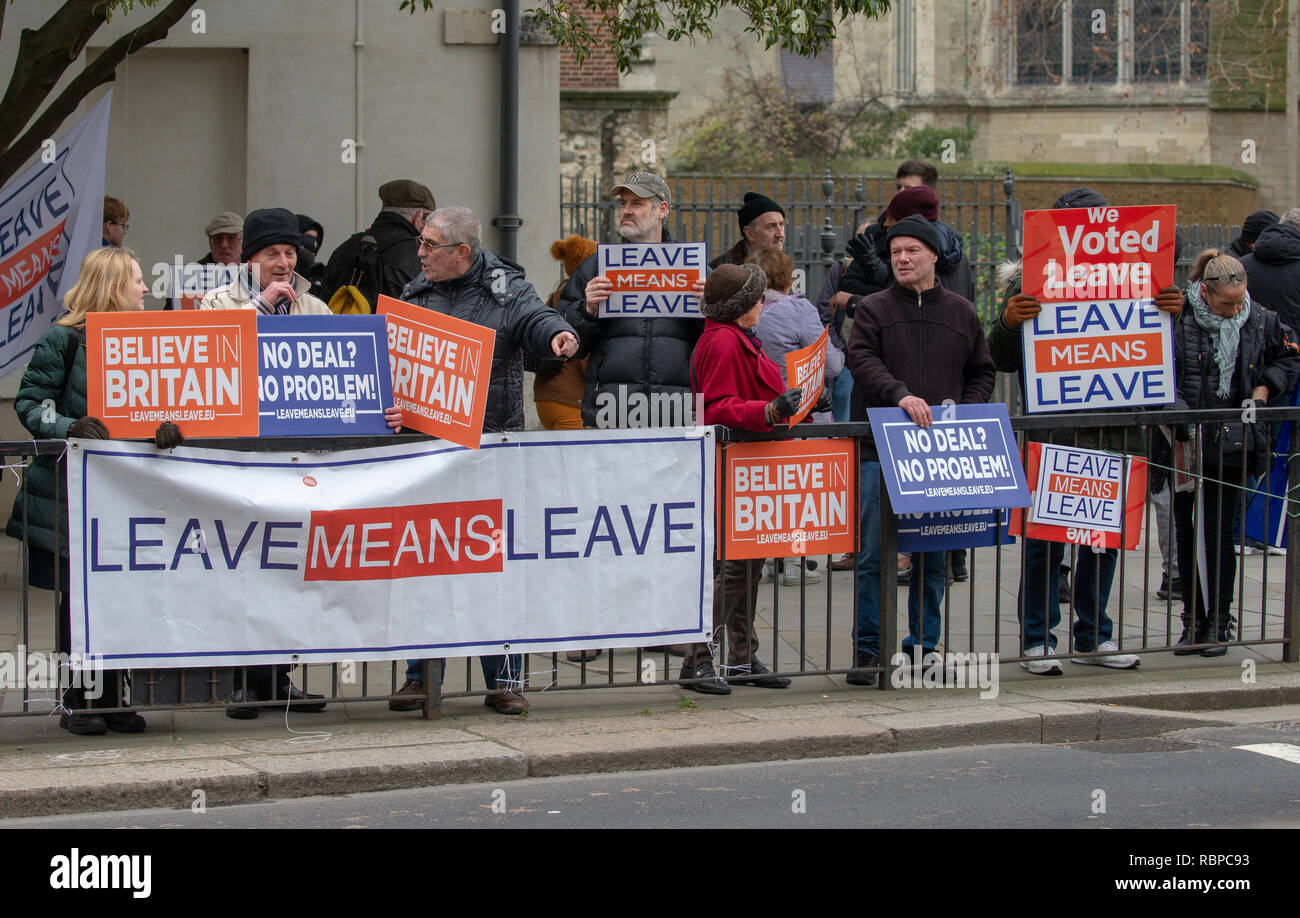 Abstimmung Unterstützer außerhalb des Parlaments in Westminster. Sie möchten voran mit Brexit und Großbritanniens aus der EU zu gehen. Stockfoto