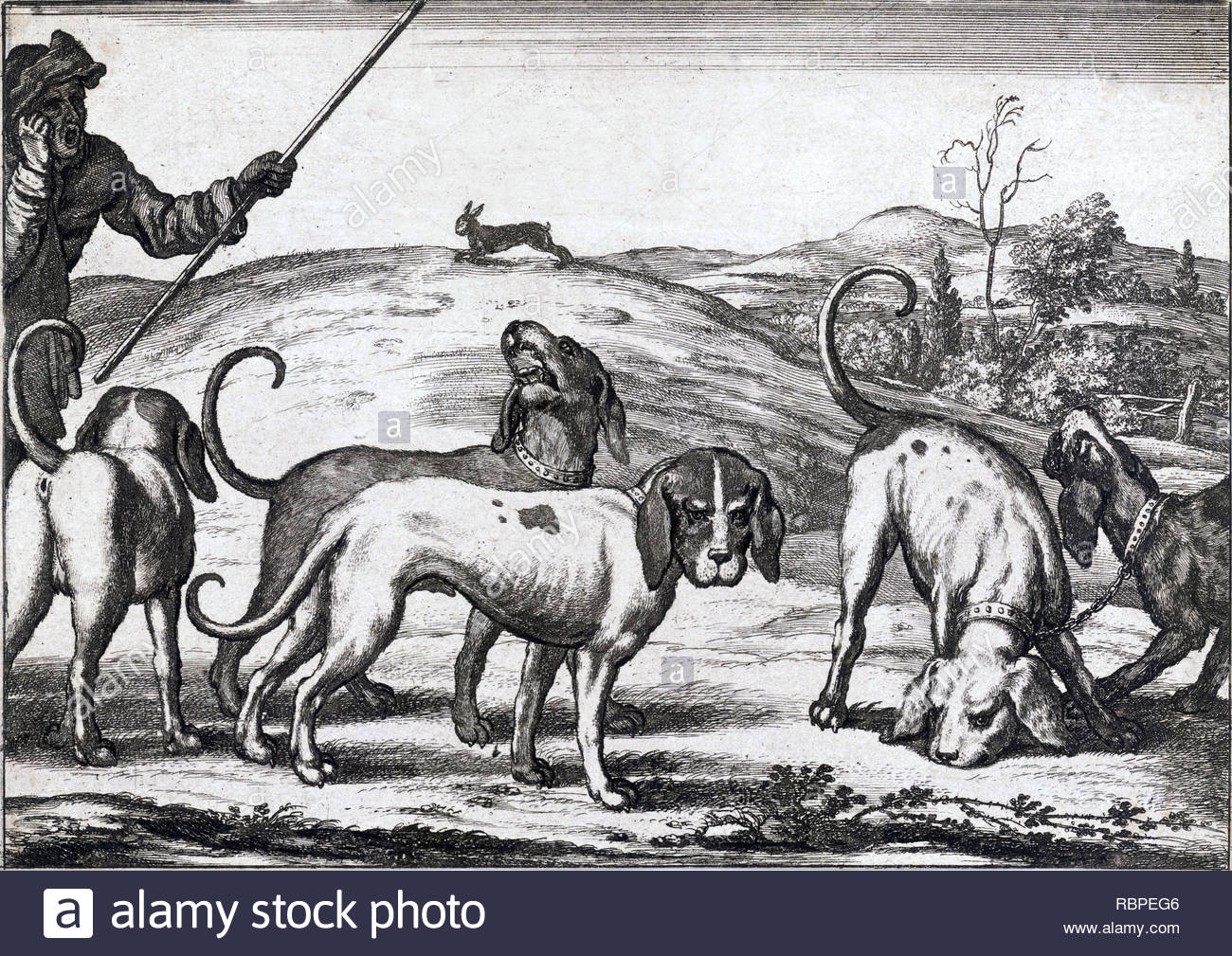 Jagdhunde Jagd, Radierung von Böhmische Kupferstecher Wenzel Hollar aus 1600s Stockfoto