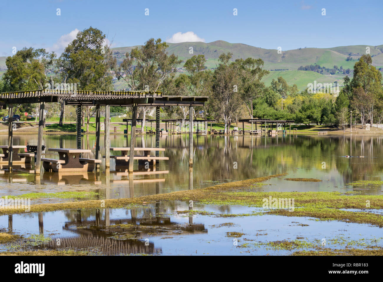 Überschwemmte Wiese und Picknicktische, Cunningham See, San Jose, San Francisco Bay, Kalifornien Stockfoto