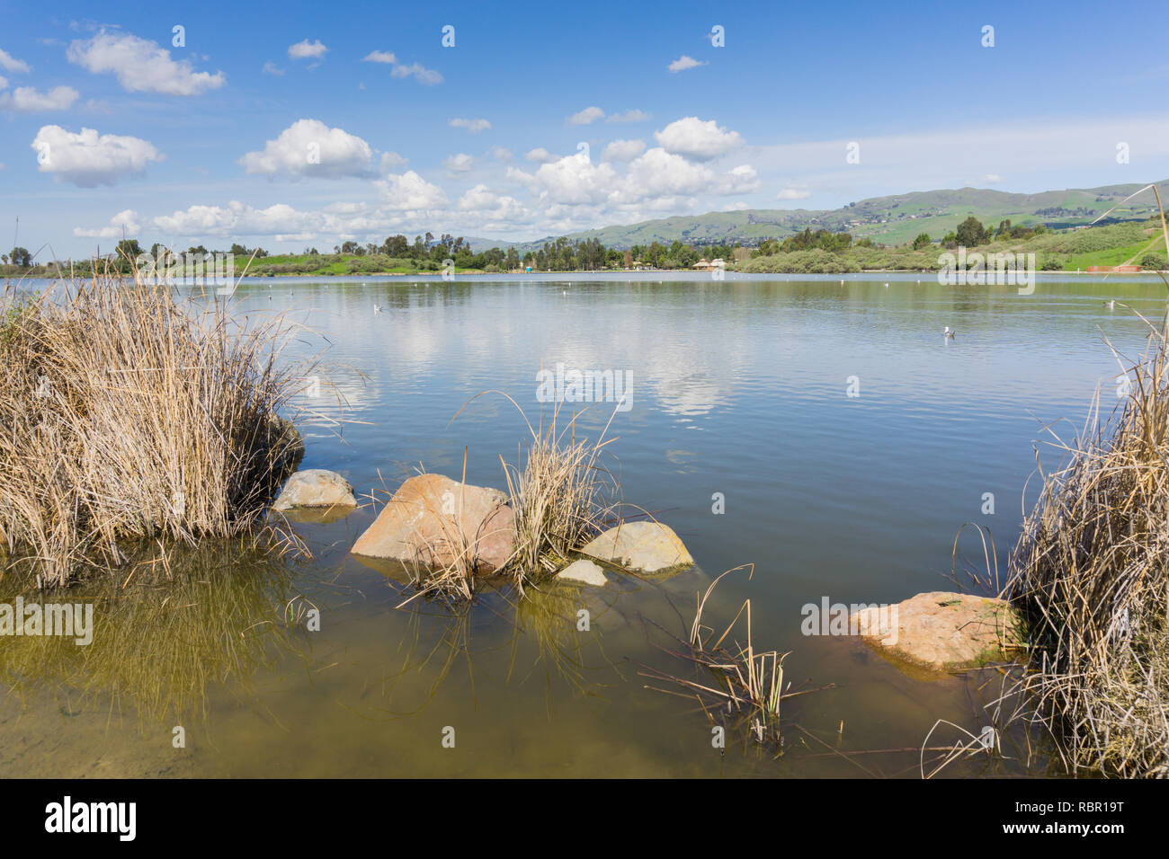 Überflutet Shoreline in Cunningham See, San Jose, San Francisco Bay Area, Kalifornien Stockfoto