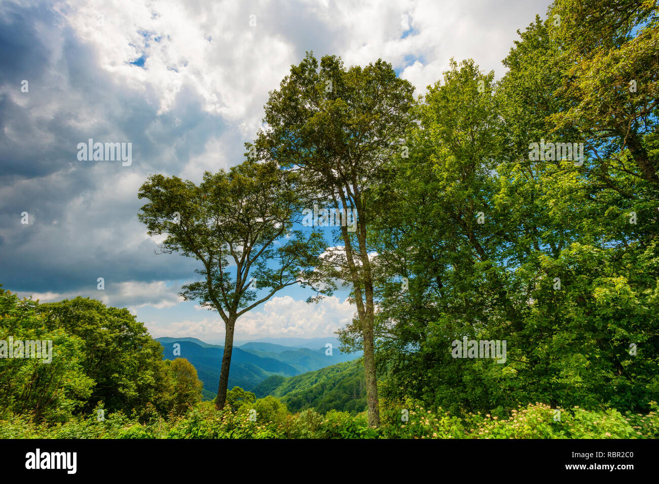 Sommer vista Blick auf die Great Smoky Mountains in der Nähe von Gatlinburg, Tennessee Stockfoto