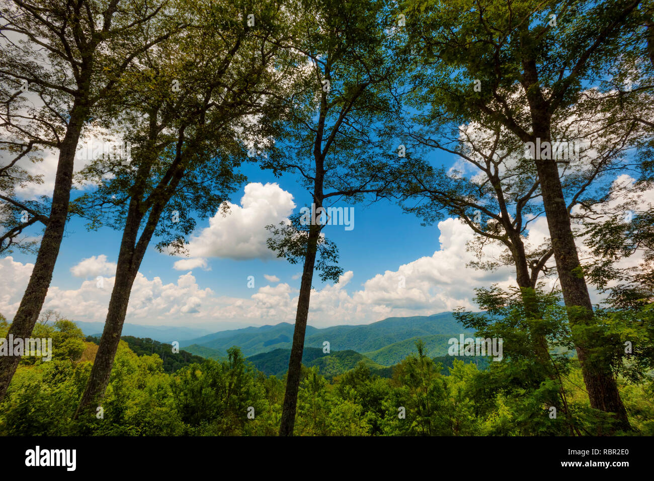 Sommer vista Blick auf die Great Smoky Mountains in der Nähe von Gatlinburg, Tennessee Stockfoto