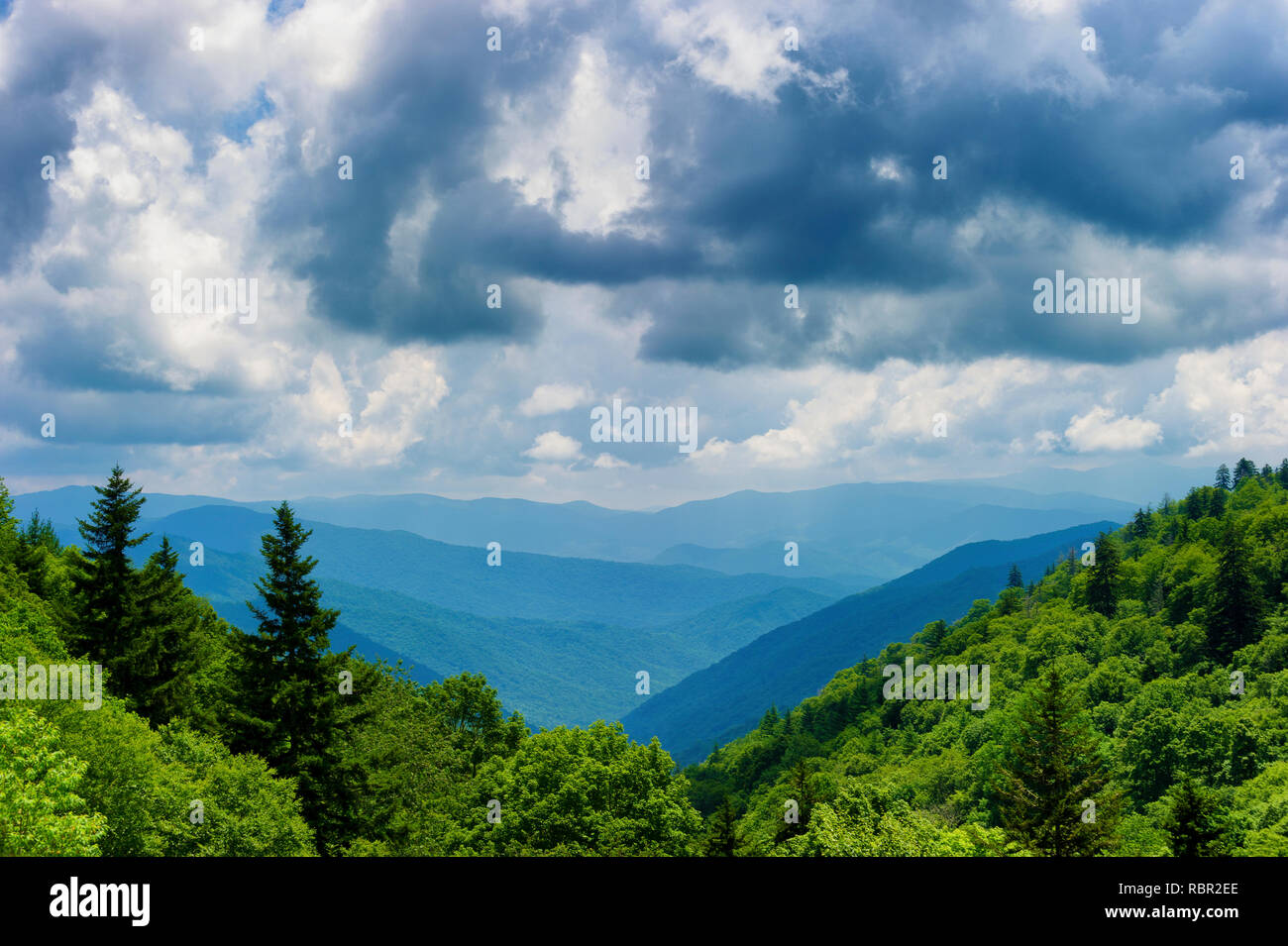 Sommer vista Blick auf die Great Smoky Mountains in der Nähe von Gatlinburg, Tennessee Stockfoto