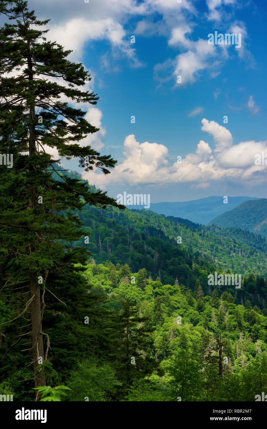Sommer vista Blick auf die Great Smoky Mountains in der Nähe von Gatlinburg, Tennessee Stockfoto