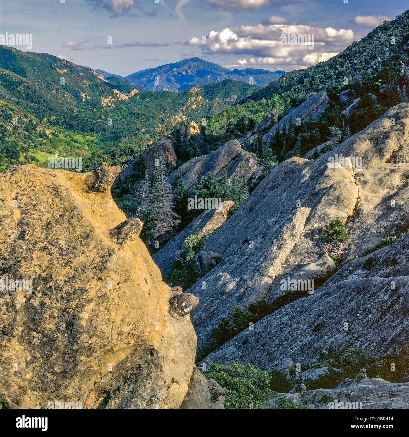Kirche Creek, Ventana Wilderness, Los Padres National Forest, Big Sur, Monterey County, Kalifornien Stockfoto