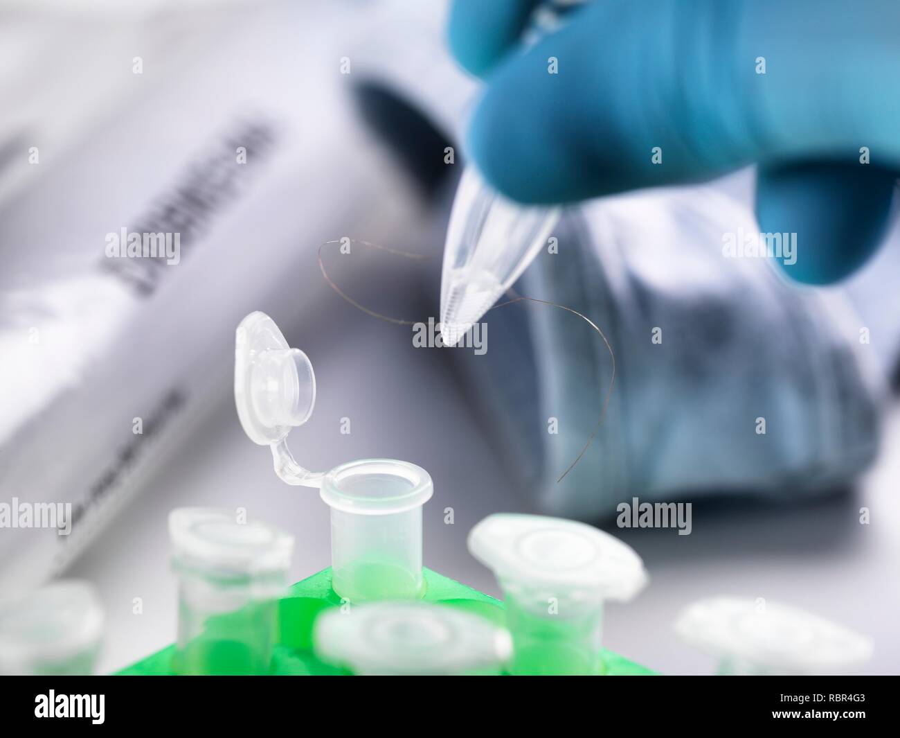 Forensische Wissenschaftler ein Haar Probe für die DNA (Desoxyribonukleinsäure) Prüfung von Kleidung von einem Tatort. Stockfoto