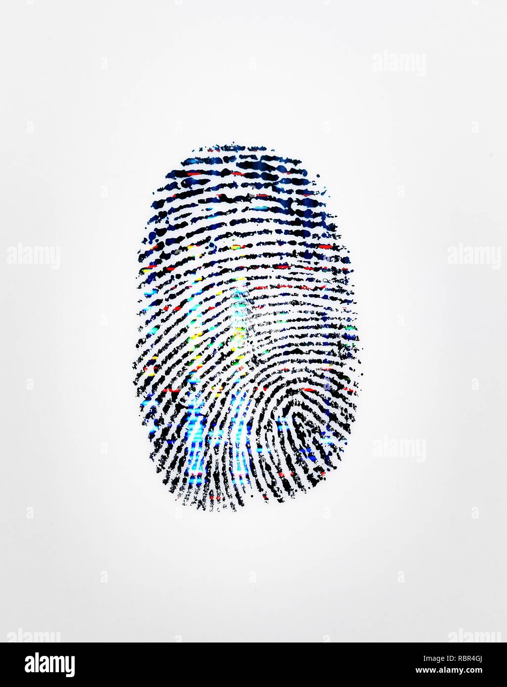 Ein Fingerabdruck mit einem DNA (Desoxyribonukleinsäure)-Profil zur Veranschaulichung von Identität. Stockfoto