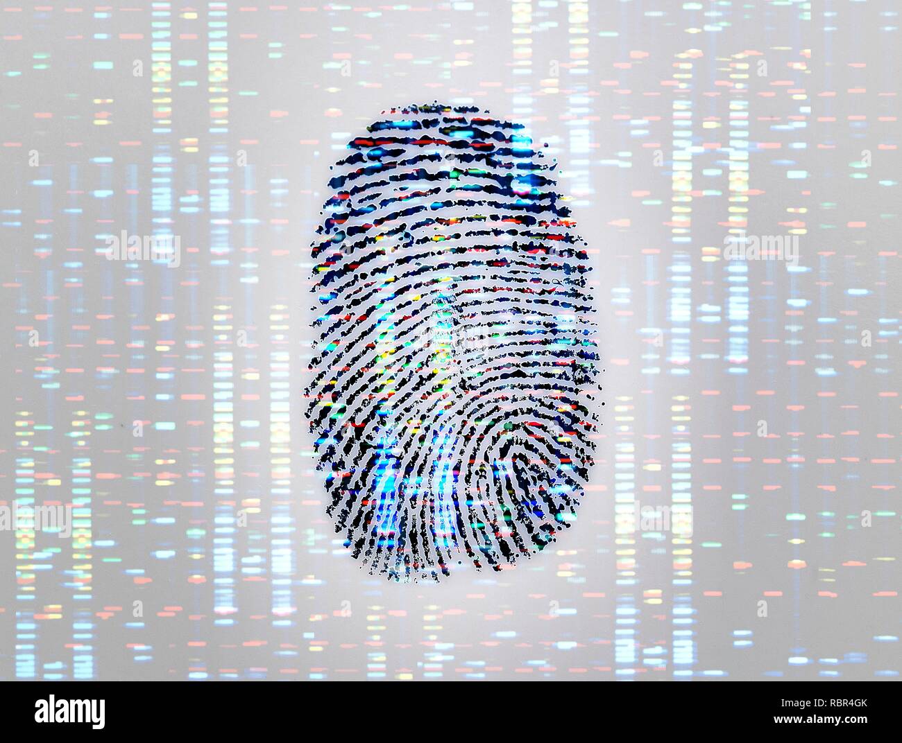 Ein Fingerabdruck mit einem DNA (Desoxyribonukleinsäure)-Profil zur Veranschaulichung von Identität. Stockfoto