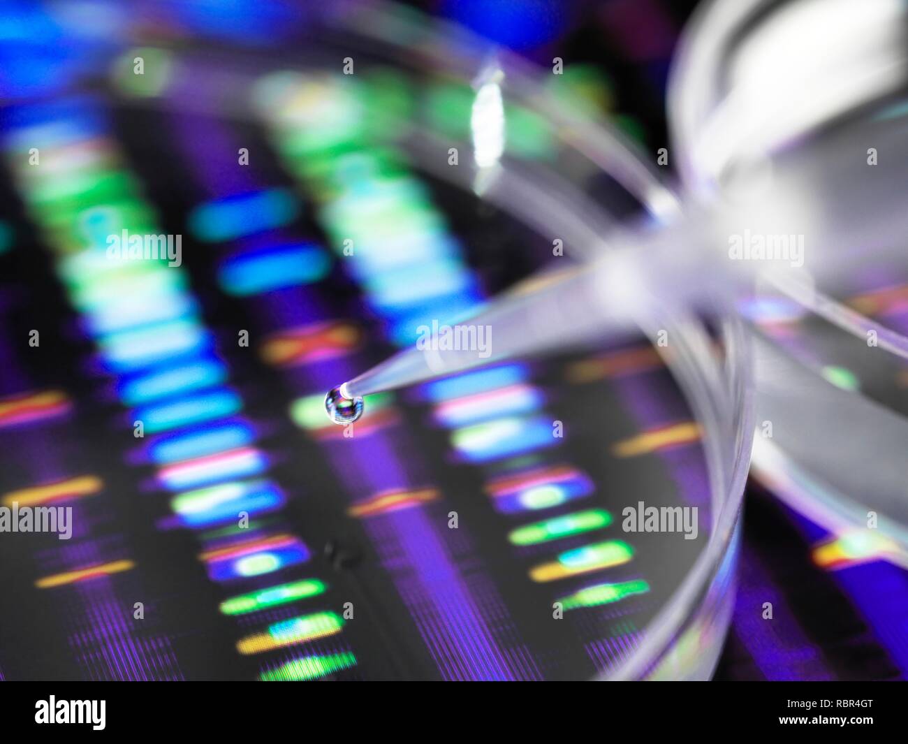 Wissenschaftler Pipettieren eine DNA (Desoxyribonukleinsäure) Probe in eine Petrischale mit ein DNA-Profil im Hintergrund. Stockfoto